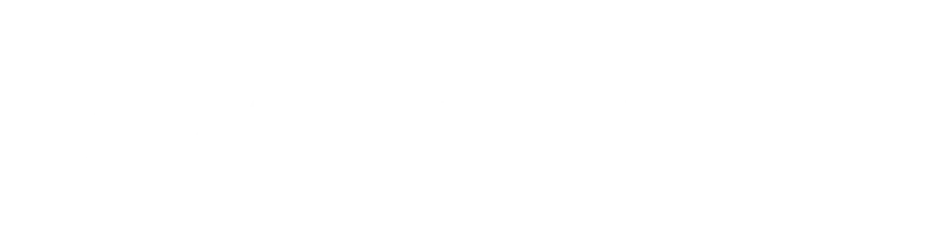 Netcrawler internet provider logo